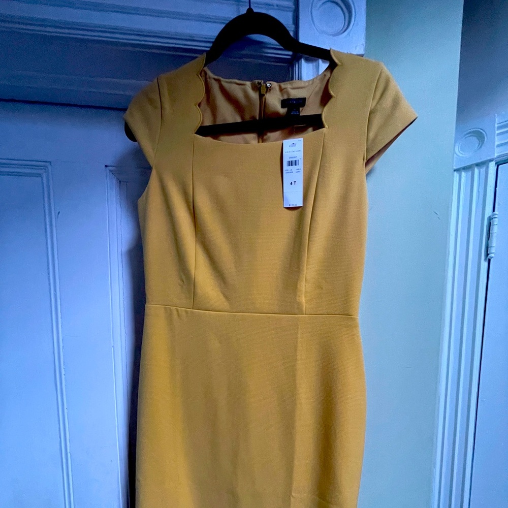 Pale yellow scalloped neck sheath dress.